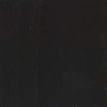 Kleuroptie zwart voor medium gruttersbak met twee vakken